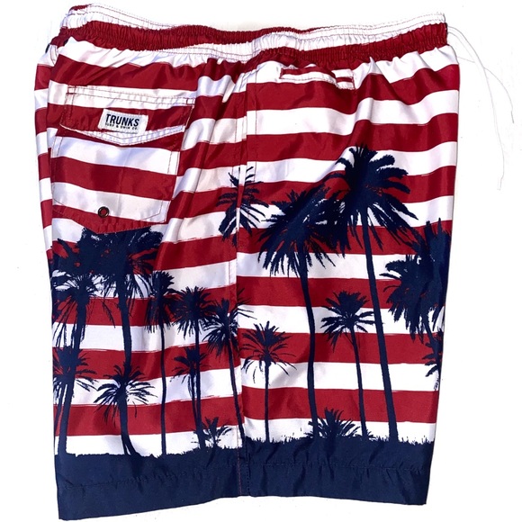 Trunks Surf & Swim Co Sano Swim Stripe Shorts- - Picture 5 of 16